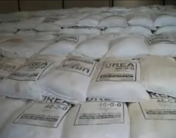 Urea fertilizer Npk 46% - Image 3